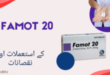 FAMOT 20 TABLETS uses in urdu