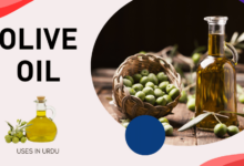 Olive oil uses in urdu