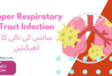 Upper Respiratory Tract Infection in urdu