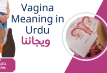 Vagina Meaning in Urdu Women Health