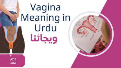 Vagina Meaning in Urdu Women Health