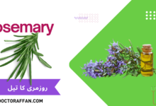 Rosemary Oil Benefits in Urdu